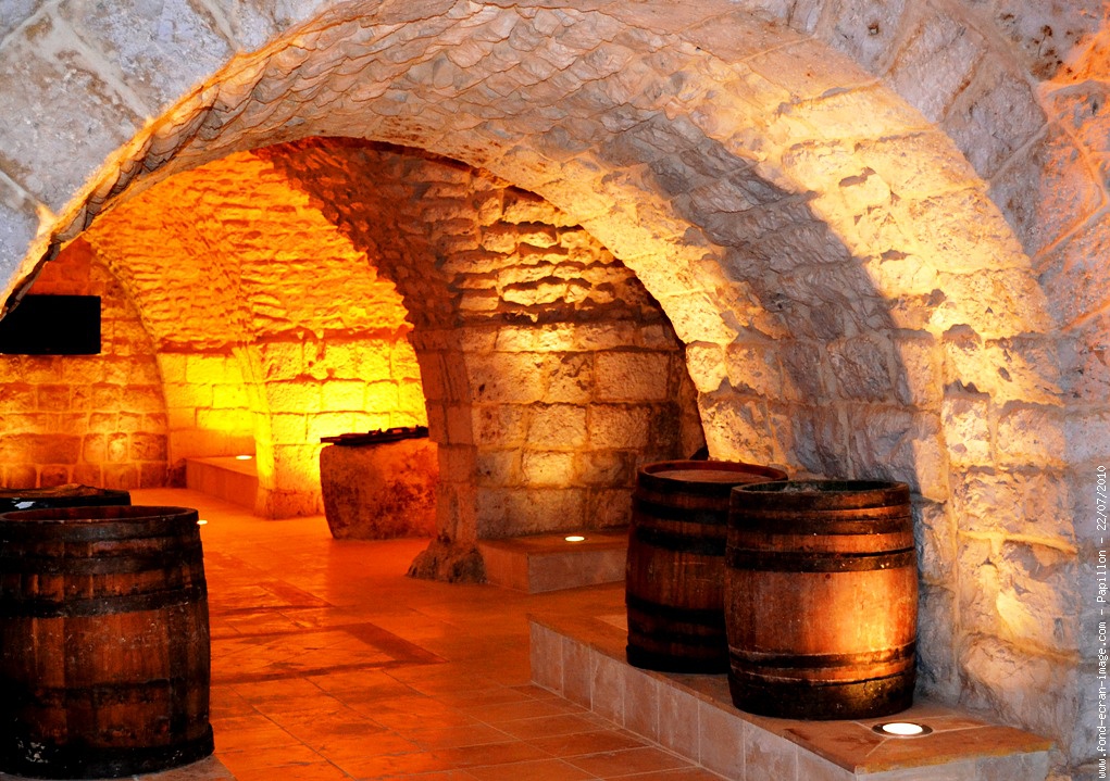 Conservation du vin : caves d'appartement, rangement, gestion de votre cave